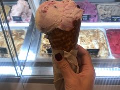 -Patagonia Chocolates(皇后镇店)