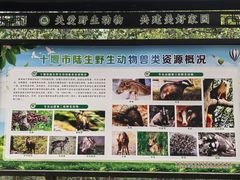 -牛头山森林公园