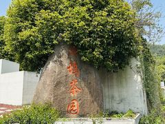 -龙坞茶村
