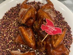 -朱记乳鸽王·非遗石岐乳鸽·全鸽宴(大兴旗舰店)