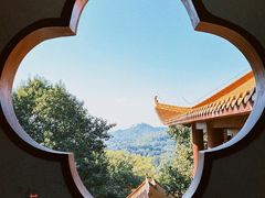 -深圳仙湖植物园