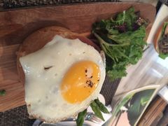 Bunny&nbsp;Chow-the rug 飞毯 (朝阳公园店)