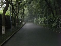 外景-杭州花家山庄