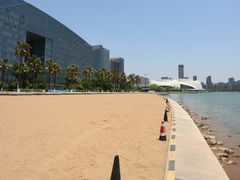 -金沙湖公园
