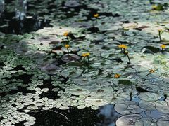 -徐家汇源景区-衡山公园