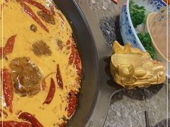 -蜀大侠火锅(森兰花园城店)