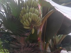 -兴芮温泉度假区