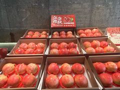 -巴蜀风·地道川菜(总店)