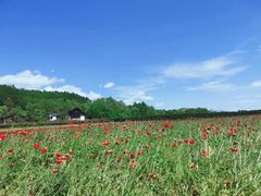 -富田农场