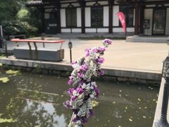 -特步跑步俱乐部