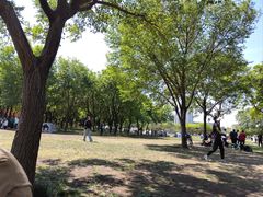 -泰丰公园