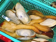 -海大大蒸汽海鲜餐厅·粤菜·特色小炒(欢乐颂店)