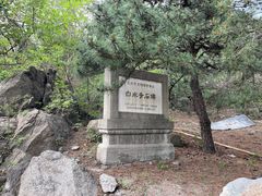 -白水寺森林公园