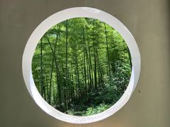 -仙霞关景区