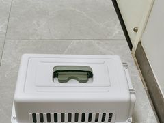 -中农国际动物医院24小时·猫科·骨科·急重症中心