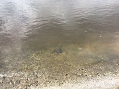 -台场海滨公园船码头