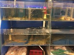 水产区-重阳大酒楼