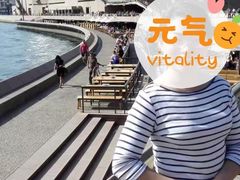-悉尼歌剧院