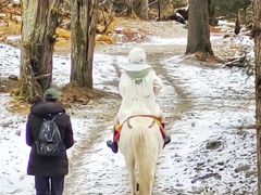 -叠溪松坪沟景区