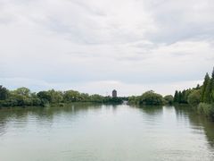 -苏州太湖国家湿地公园