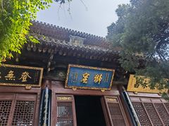 -洛阳白马寺