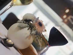 -蝶舍·MAISON PAPILLON