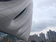 -深圳市体育中心体育馆主馆