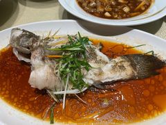 -森谷美食公园(杨行店)