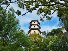 -江心屿景区