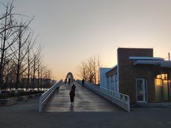 -大兴滨河森林公园