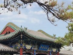 -迎泽公园