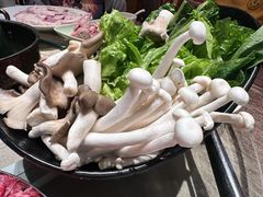 -旺金鸽·传承15年老字号·手工早茶(荔湾坦尾桥中店)