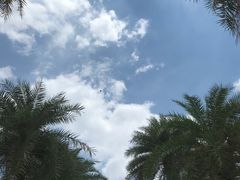 -广东药科大学(广州校区大学城校园)