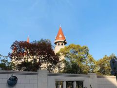 -翊宠yipet猫狗购宠庄园犬舍•猫舍