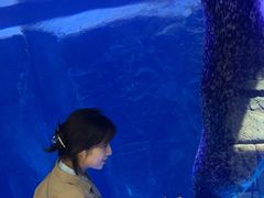 -哈尔滨波塞冬海底世界
