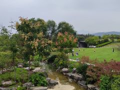 -铁山坪森林公园