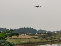 -空港花田景区