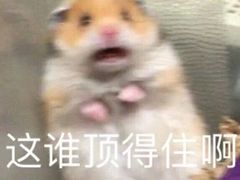-奈雪的茶(新天地广场PRO店)