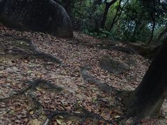 -火炉山森林公园