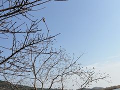 -南北湖风景区