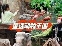 -长鹿旅游休博园