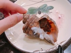 海螺-蔚海之都·象山蒸汽海鲜(仙霞路店)