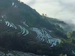 -紫鹊界梯田景区