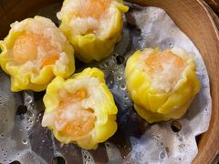 -捷信牛奶甜品世家(五道口店)