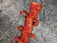 -黑色经典臭豆腐·湖南特产(太平街口店)