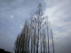 -星巴克(成都科学城店)