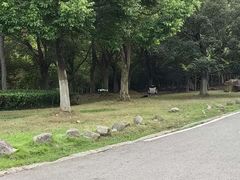 -南京市江宁方山