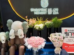 -狮拾久·现代新加坡料理(福田COCO Park店)