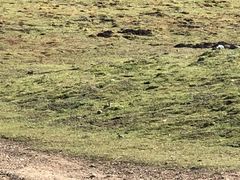 -扁都口生态休闲旅游区