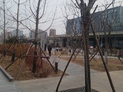-世东国际
